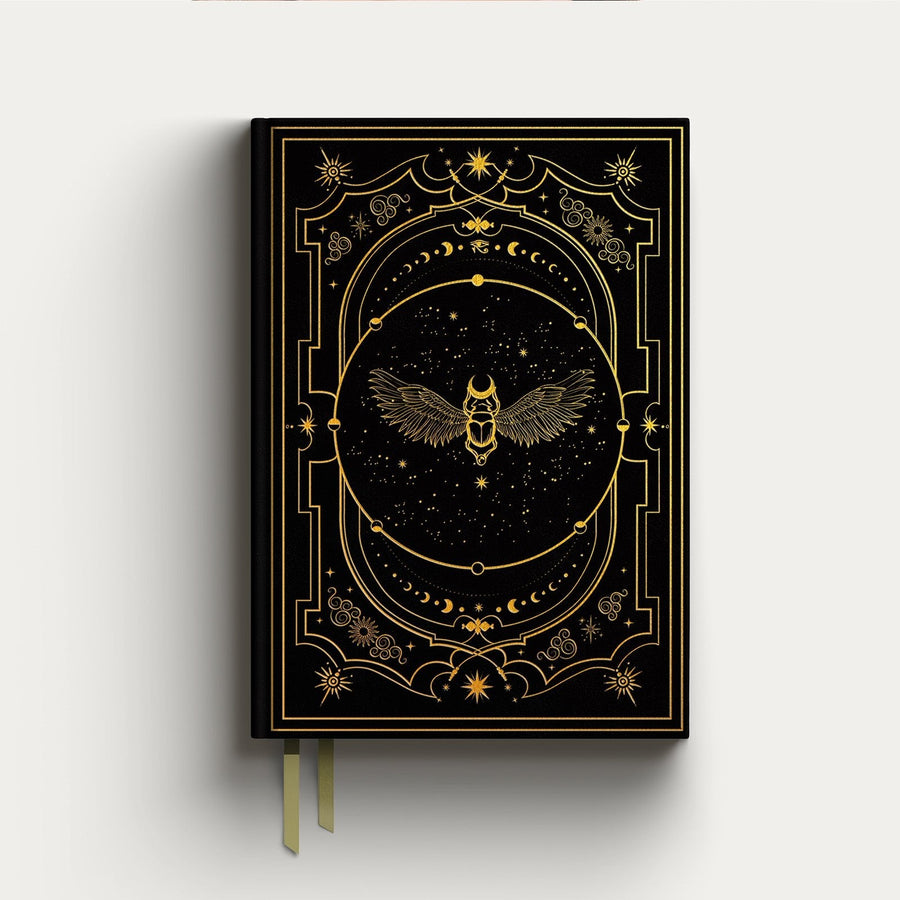 dream journal -